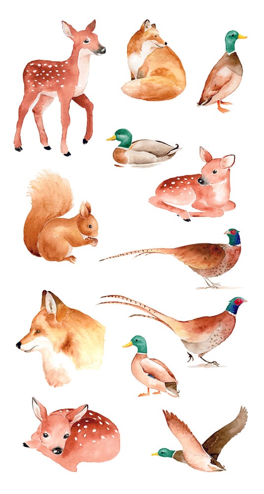 Stickers transparents faisan - Fall in love- Artemio