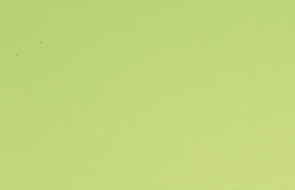 Feuille texturée limeade - 30x30 cm - Bazzill