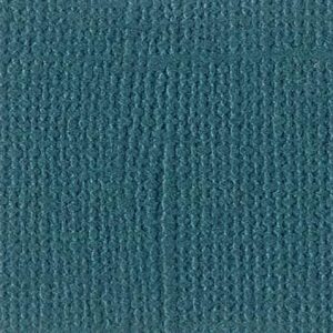 Feuille texturée jade- 30x30 cm - Bazzill