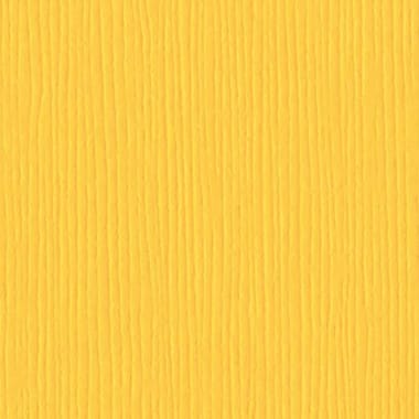 Feuille texturée mexican poppy - 30x30 cm - Bazzill
