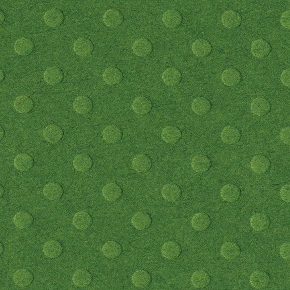 Feuille texturée greenbriar - 30x30 cm - Bazzill
