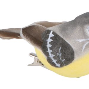 10 oiseaux couleurs  - pince crocodile - Artemio