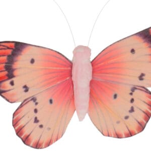 6 papillons sur pince 10x6,5x2 cm - Artemio