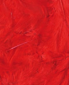 Plumes rouges 12 cm - Artemio