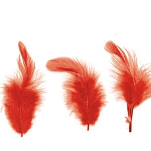 Plumes rouges 12 cm - Artemio