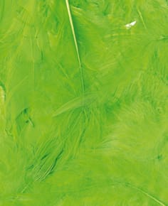 Plumes vertes 12 cm - Artemio