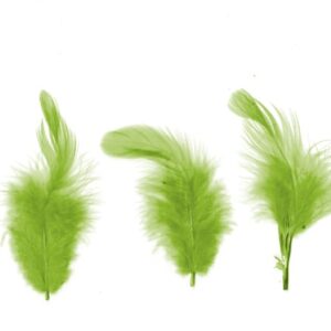 Plumes vertes 12 cm - Artemio