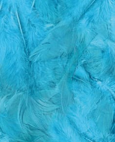 Plumes turquoise 12 cm - Artemio