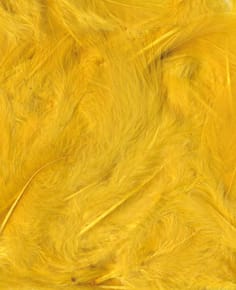 Plumes jaunes 12 cm - Artemio