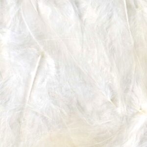 Plumes blanches 12 cm - Artemio