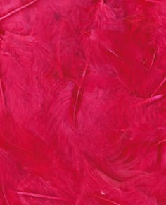 Plumes fuchsia 12 cm - Artemio