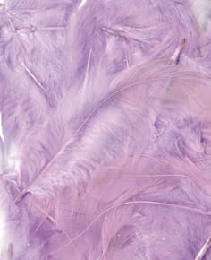 Plumes mauve clair 12 cm - Artemio
