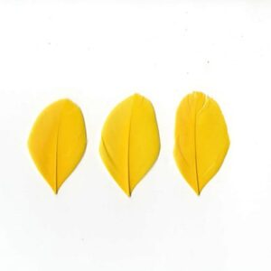 Plumes jaunes 6 cm - Artemio