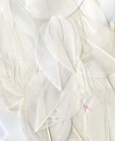Plumes blanches 6 cm - Artemio