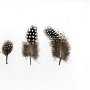 Plumes grises 8 cm - Artemio