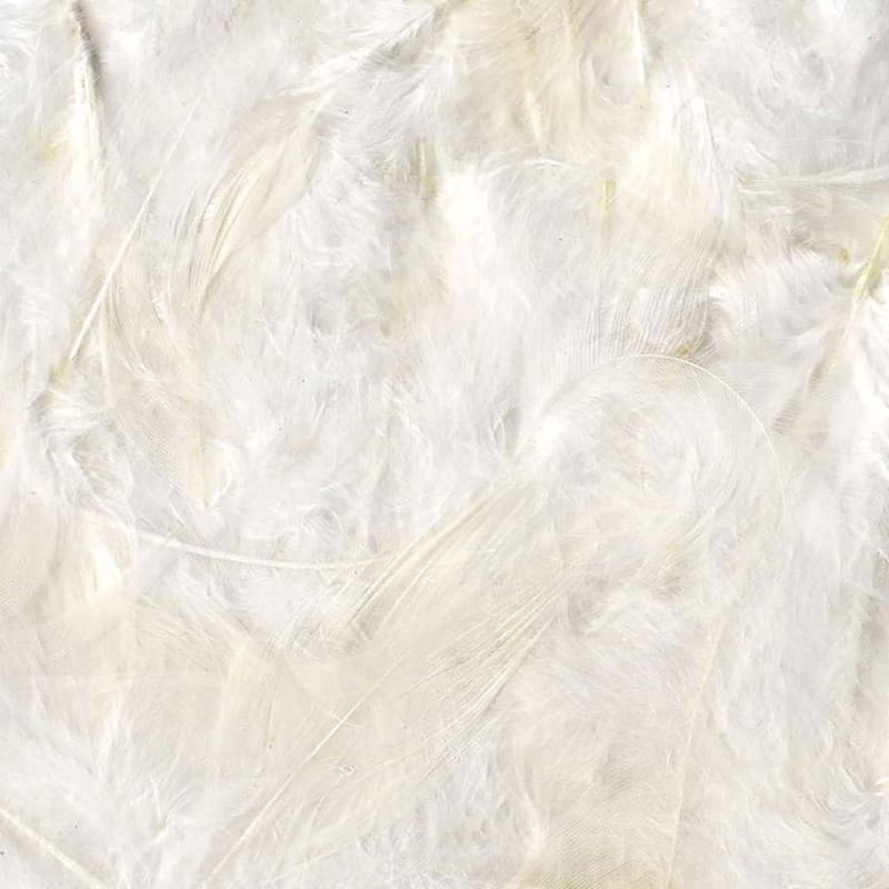 Plumes blanches 12 cm - Artemio