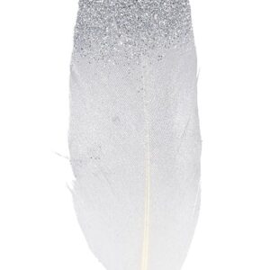 6 plumes argentées 11.5 cm - Artemio
