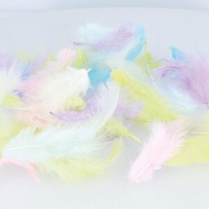 Plumes colorées 10 gr - Artemio