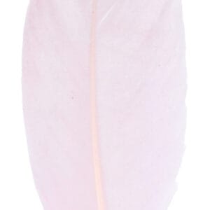 6 plumes roses et dorées 11x3.5 cm - Artemio