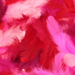 Plumes colorées 10 gr - Artemio
