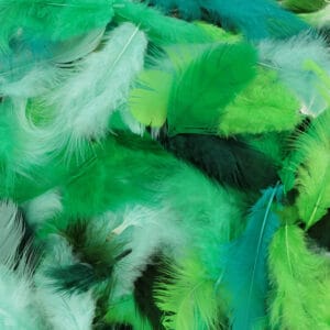 Plumes colorées 10 gr - Artemio