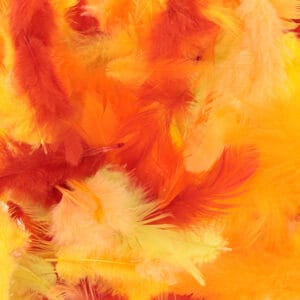 Plumes colorées 10 gr - Artemio