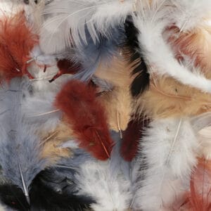 Plumes colorées 10 gr - Artemio