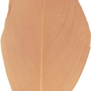 Plumes bisque 6 cm - Artemio