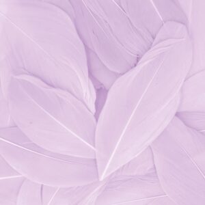 Plumes parme 6 cm - Artemio