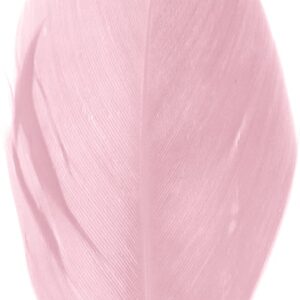 Plumes parme 6 cm - Artemio