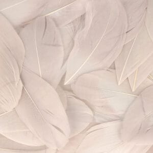 Plumes gris perle 6 cm - Artemio