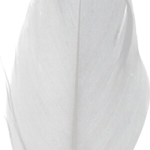 Plumes gris perle 6 cm - Artemio