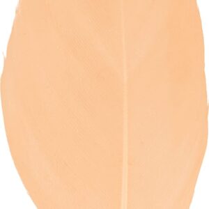 Plumes saumon 6 cm - Artemio 