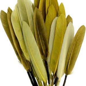 28 plumes colorées - Artemio