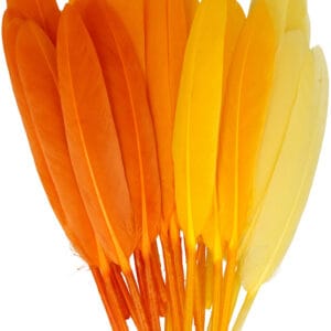 28 plumes colorées - Artemio