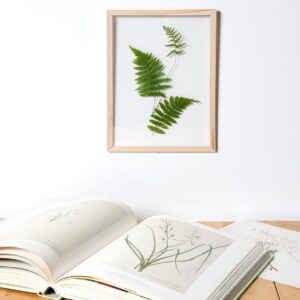 Cadre plexiglas A4 herbier - Artemio