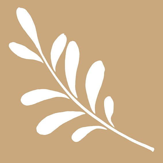 2 pochoirs kraft branches 20x20cm - Artemio