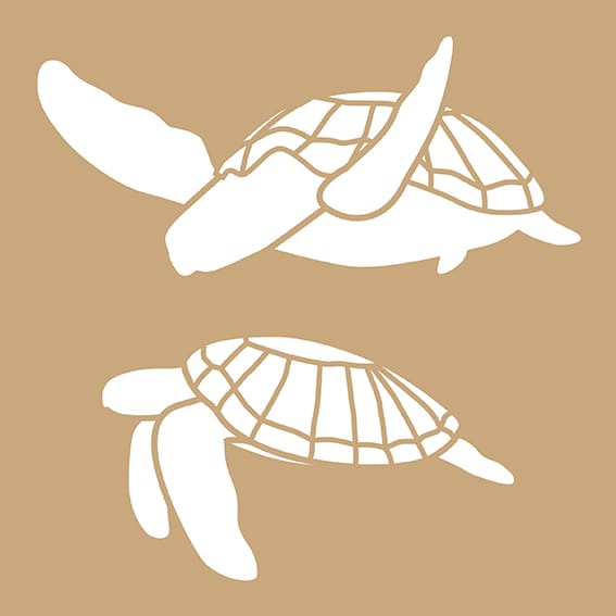 2 pochoirs kraft tortue 20x20cm - Artemio