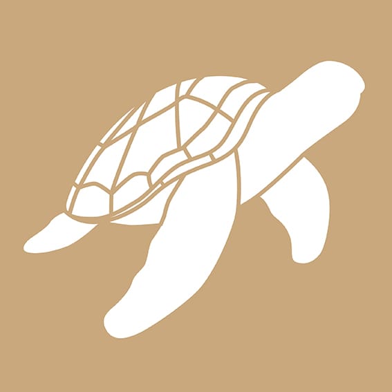 2 pochoirs kraft tortue 20x20cm - Artemio