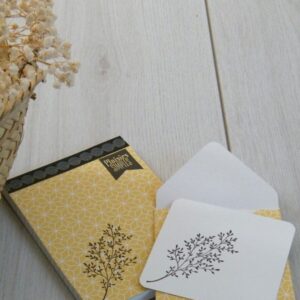 Kit cartes en enveloppes - Artemio