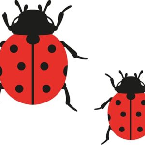 Matrices de découpe coccinelles - Artemio