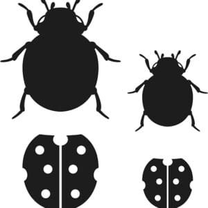 Matrices de découpe coccinelles - Artemio