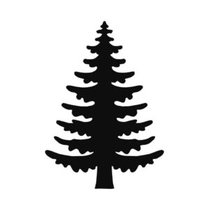 Matrice de découpe sapin - Artemio