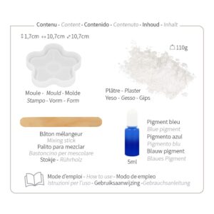 Kit fleur en plâtre - Artemio
