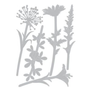 Thinlits die Wildflower Stem - Sizzix