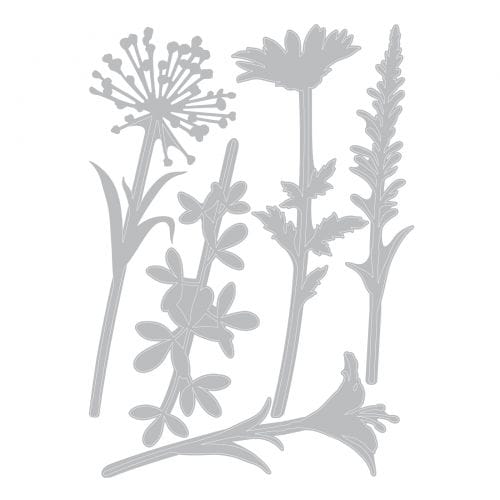 Thinlits die Wildflower Stem - Sizzix
