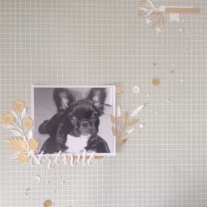 50 feuilles Opulent cardstock gold - Sizzix