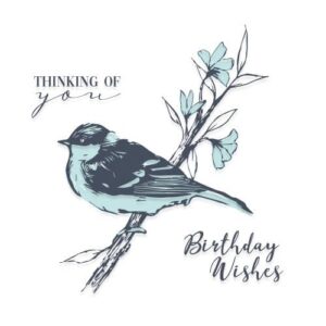 Layered clear stamps summer bird - Sizzix