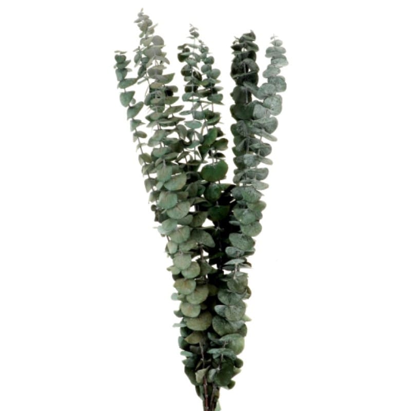 Bouquet de fleurs séchées - Artemio
