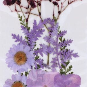 Fleurs séchées pressées - Artemio